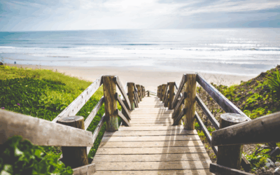 Νέος χρόνος, Νέος Δρόμος